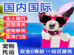 厦门高崎国际宠物托运 【国